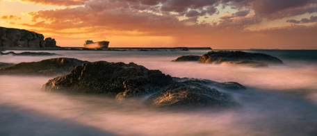 肉質(zhì)鮮美的一種海產(chǎn)品，名字十分有特色